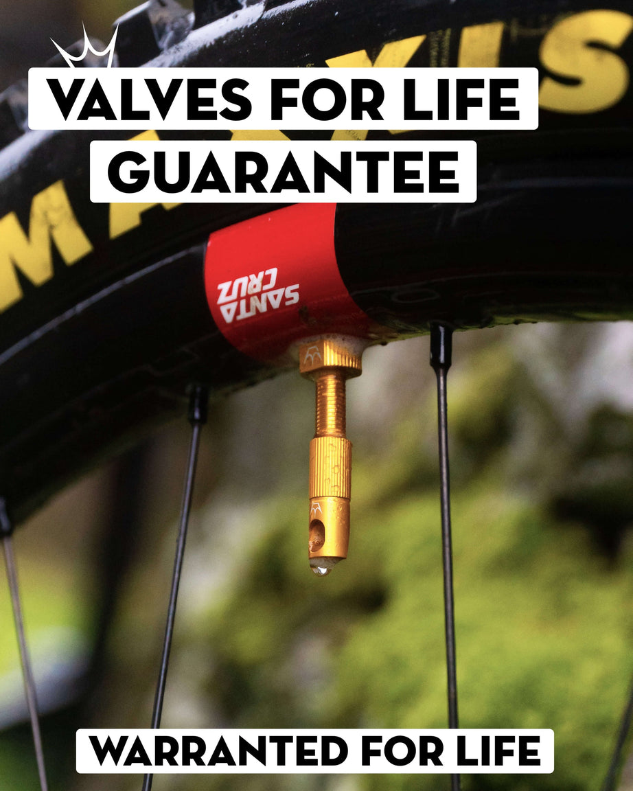 Peaty's (MK2) Tubeless Valves | Chris King