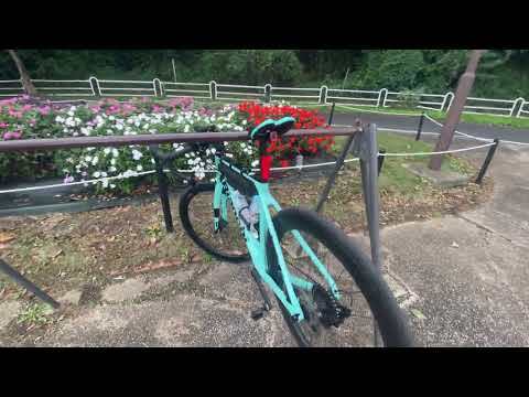 Mid Cobber Rear Light | Low Glare LED Array | High Viz | 330° Beam | Be Seen